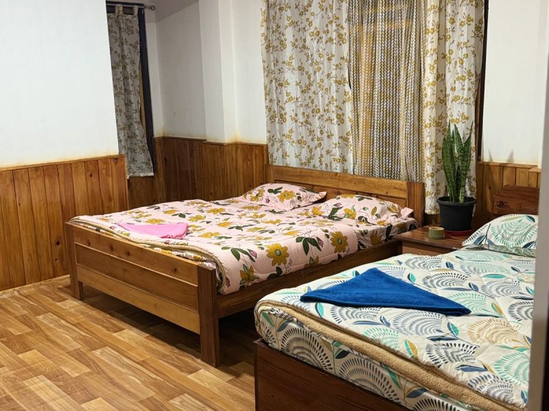 Standard Mountain View Room